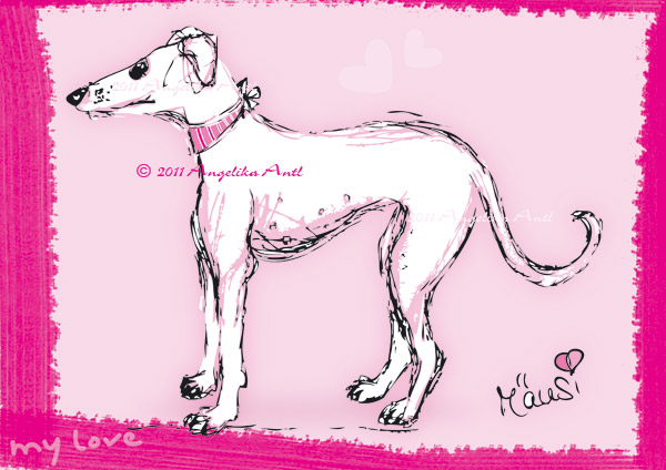Illustration eines Galgo espanol - Windhund - Greyhound