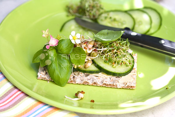 Food Photografie Knckebrot mit Sprossen und Blten - Fotografien von Angelika Antl