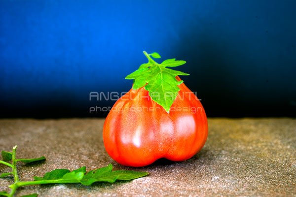 Food Fotografie photography  Tomate tomato von Angelika Antl